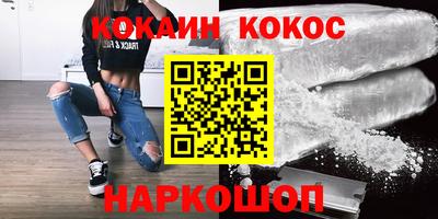 гашик Камышлов