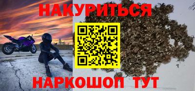 гашик Камышлов