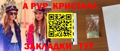 гашик Камышлов