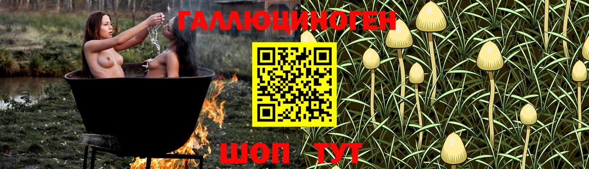 Галлюциногенные грибы GOLDEN TEACHER Владикавказ